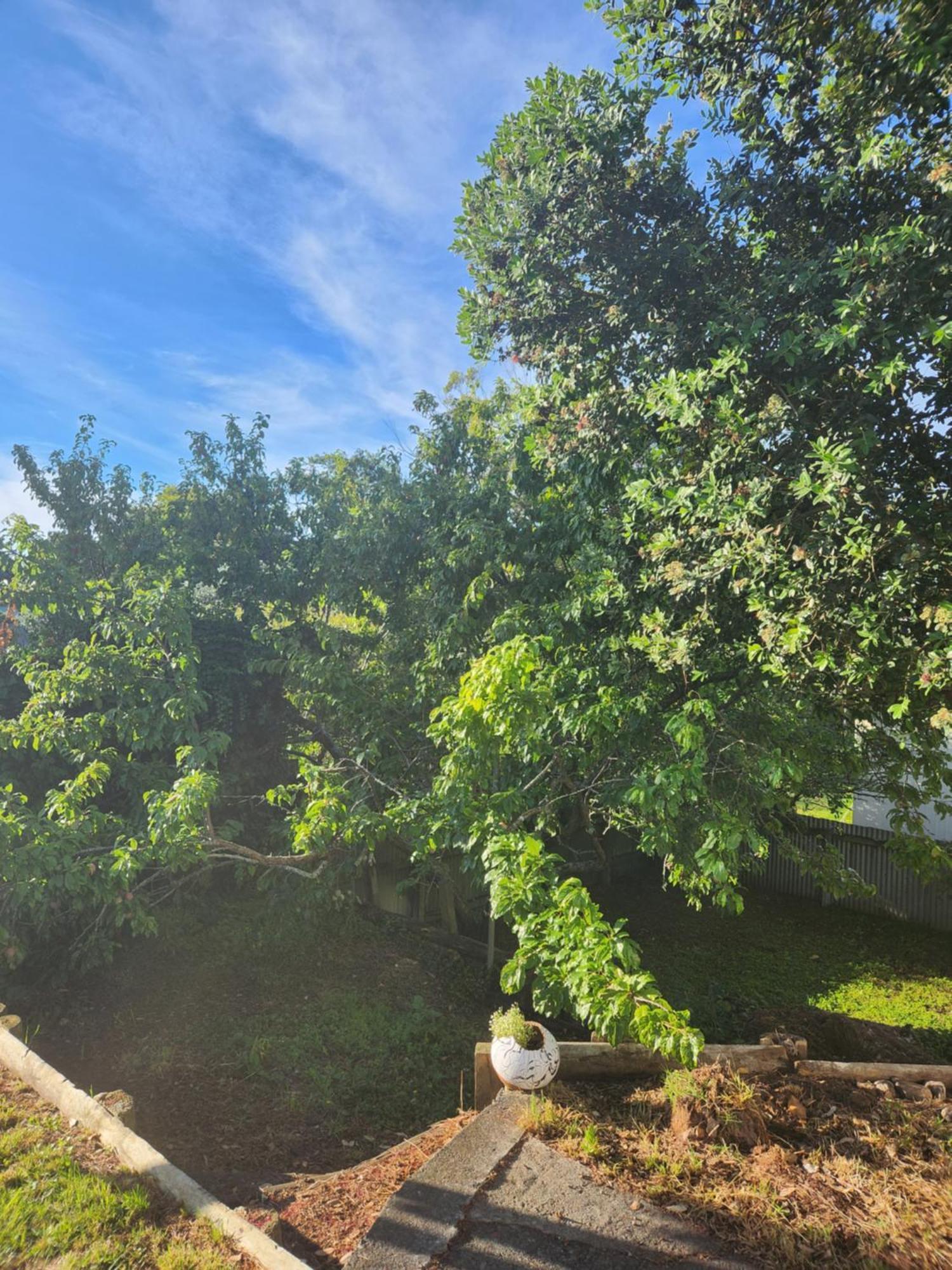 Quirky Villa Homestay Whanganui Zewnętrze zdjęcie