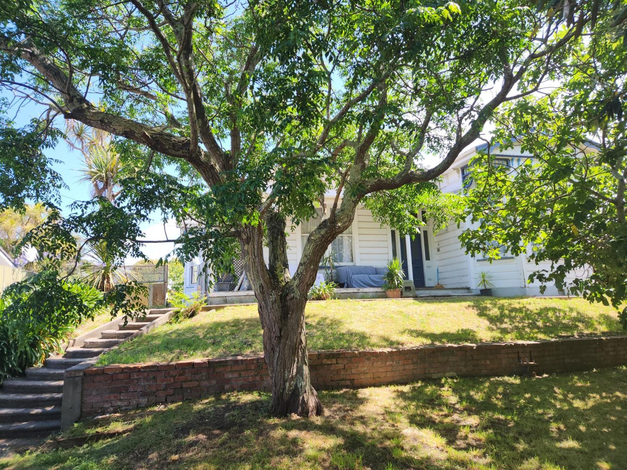 Quirky Villa Homestay Whanganui Zewnętrze zdjęcie